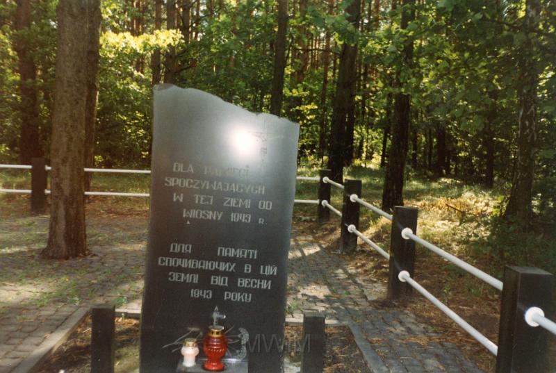 KKE 3348.jpg - Tablica na zbiorowej mogile 600 osób zamordowanych przez UPA w IV 1943 r. w Janowej Dolinie, 2001 r.